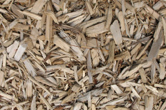 biomass boilers Mallaig